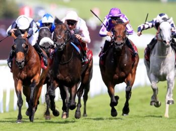 John Gosden đặt kỳ vọng vào Too Darn Hot