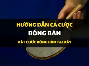 Dafabet hướng dẫn cá cược: Cách đặt cược vào môn Bóng bàn – Cá độ bóng bàn