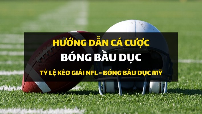 dafabet-huong-dan-ca-cuoc-bong-bau-duc