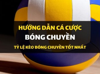 Dafabet hướng dẫn cá cược: Cách đặt cược vào môn Bóng Chuyền – Cá độ bóng chuyền