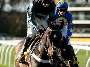 Altior tham gia vào chặng đua ngày thứ 7 tại Newbury